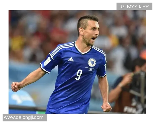 波黑足球现役明星球员全景盘点与成就分析